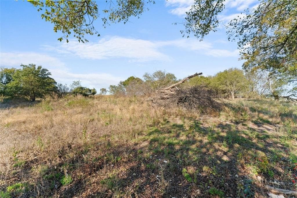 84 acres in Hill County - photo 6