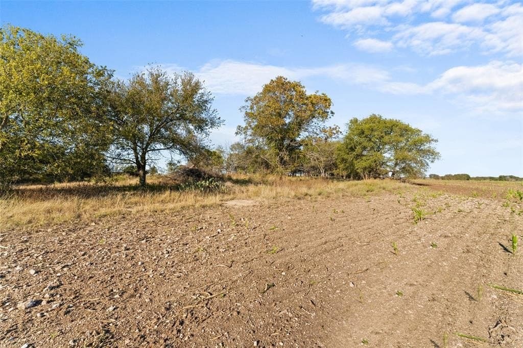 84 acres in Hill County - photo 5