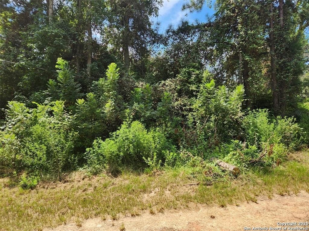 0.26 acres in Grimes County - photo 2