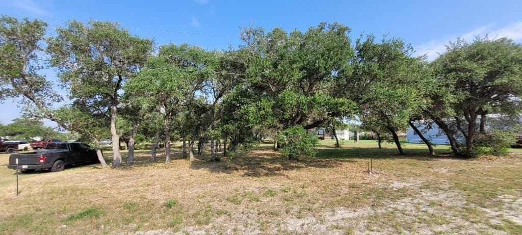 19 acres in Texas County - photo 2