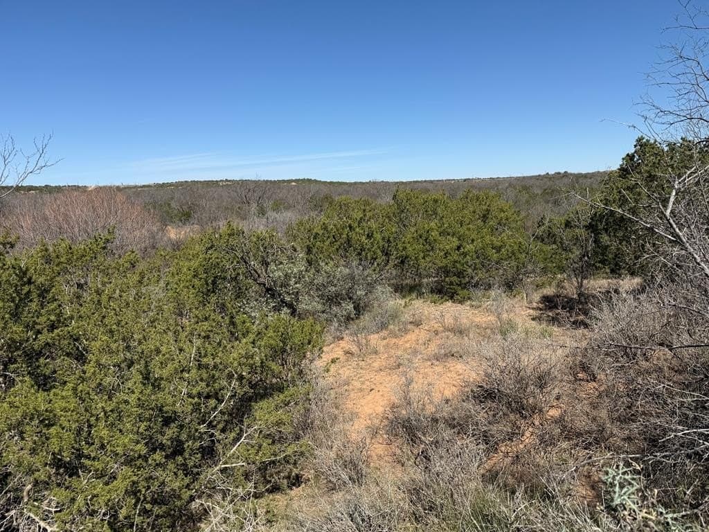 320 acres in Nolan County - photo 30