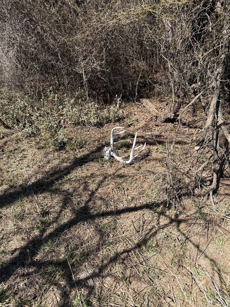 320 acres in Nolan County - photo 31