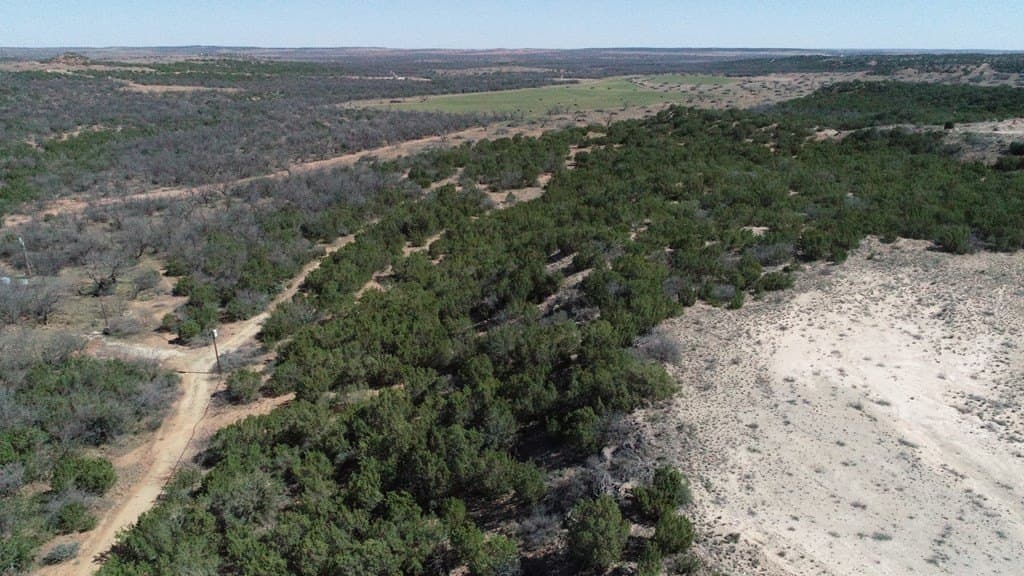320 acres in Nolan County - photo 9