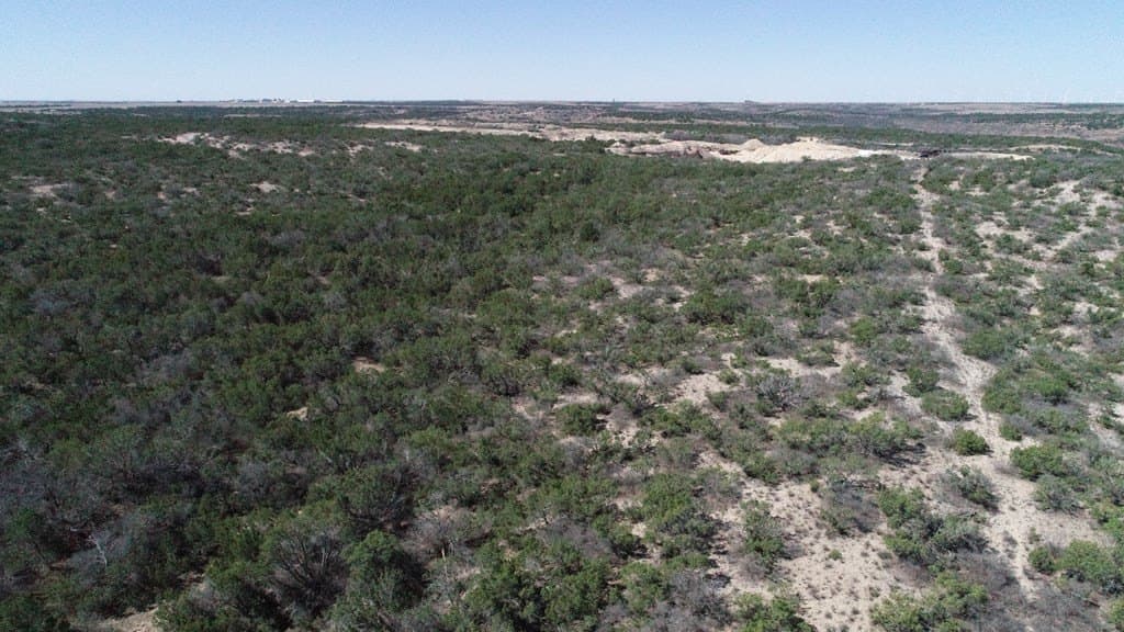 320 acres in Nolan County - photo 5