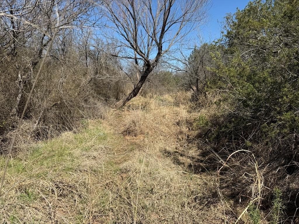 320 acres in Nolan County - photo 29