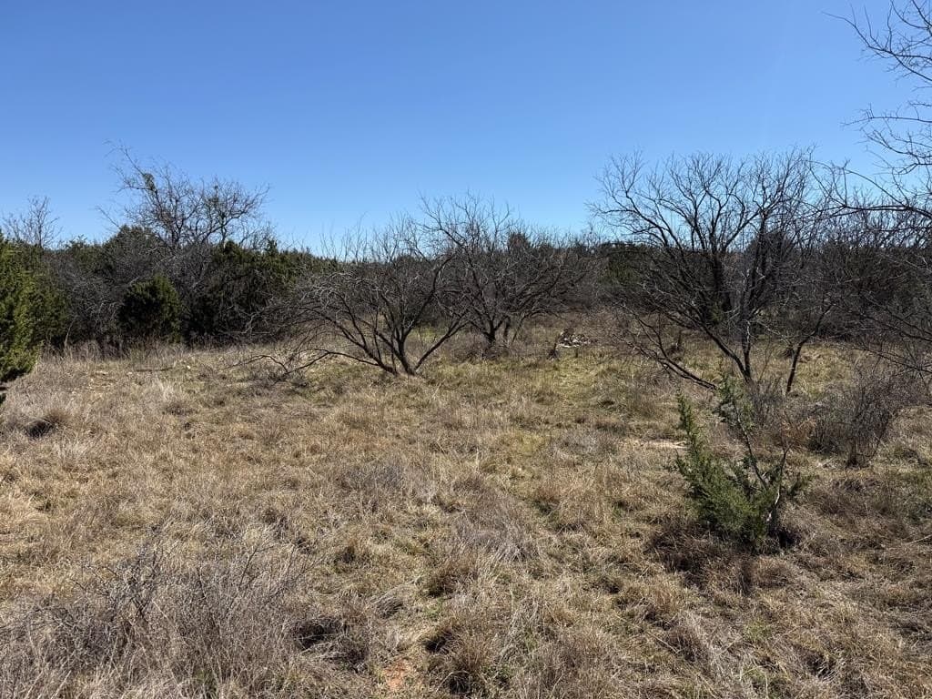 320 acres in Nolan County - photo 25
