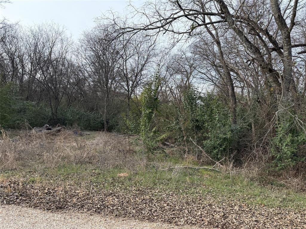 0.28 acres in Bosque County - photo 2