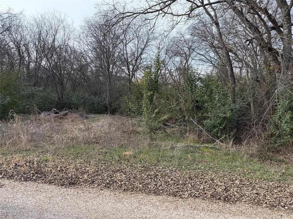 125 County Road 1236