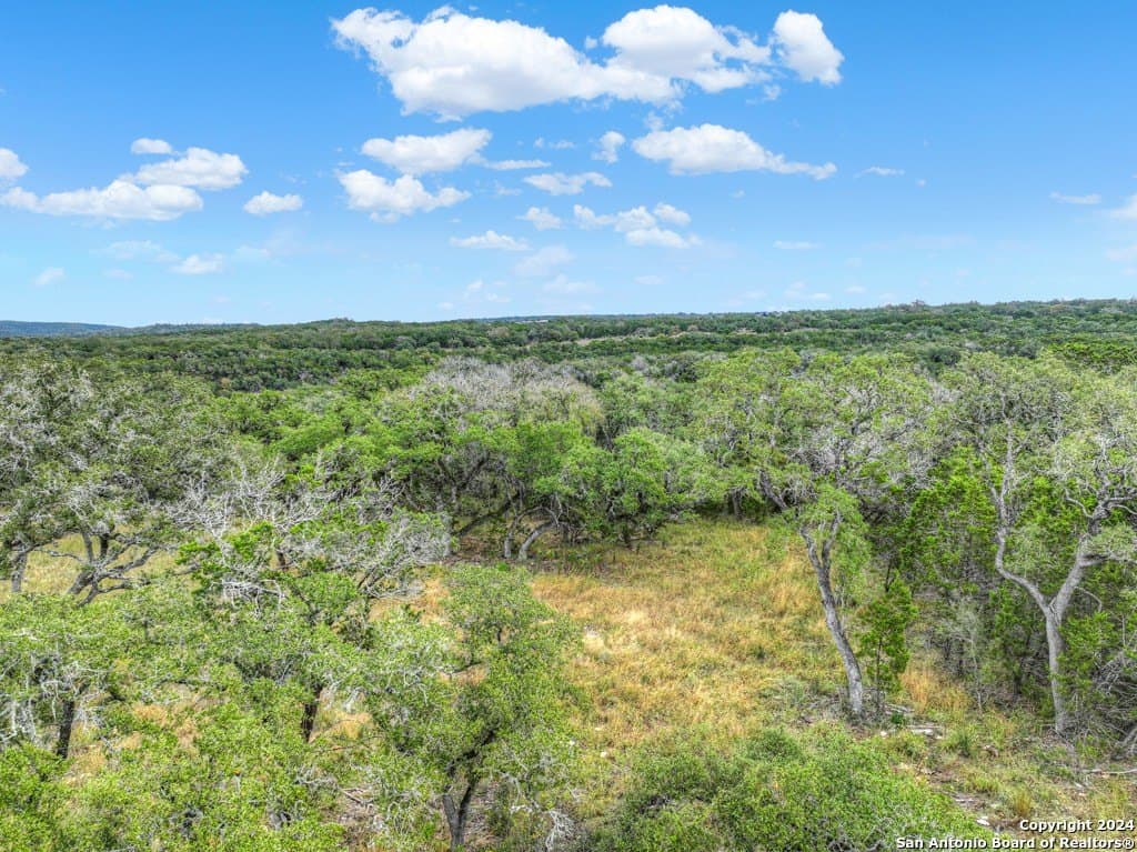 1.22 acres in Comal County - photo 4