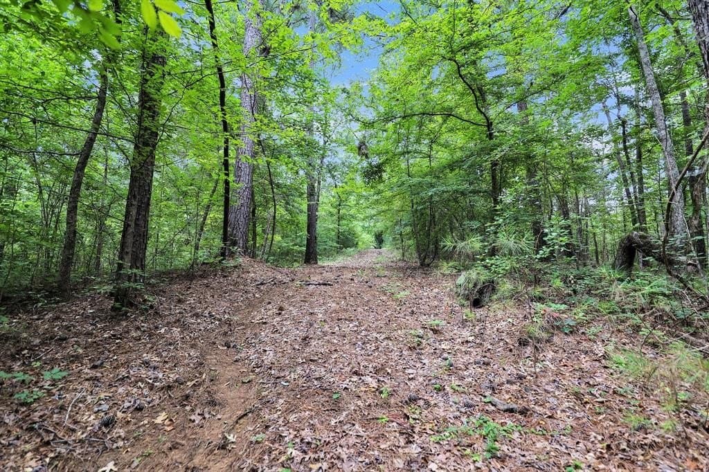115.17 acres in Smith County - photo 27
