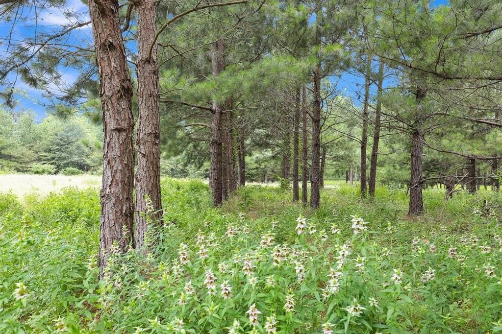 115.17 acres in Smith County - photo 13