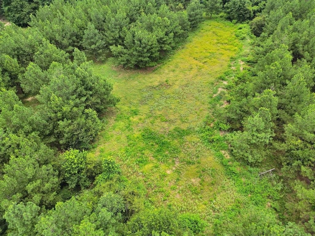 115.17 acres in Smith County - photo 30