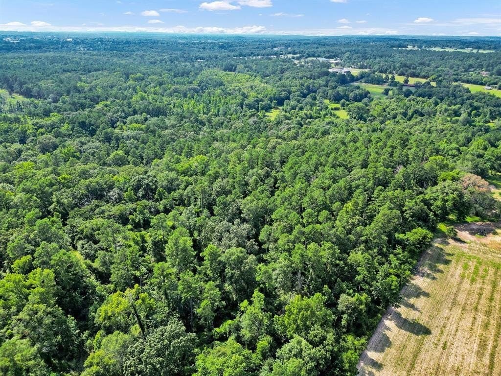 115.17 acres in Smith County - photo 10