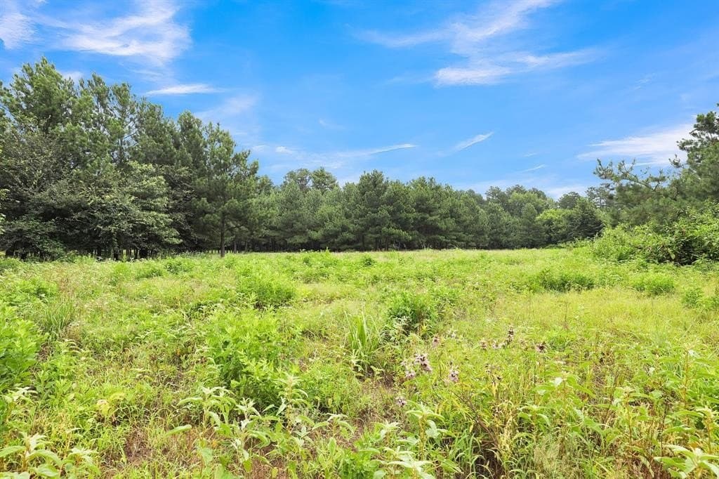 115.17 acres in Smith County - photo 28