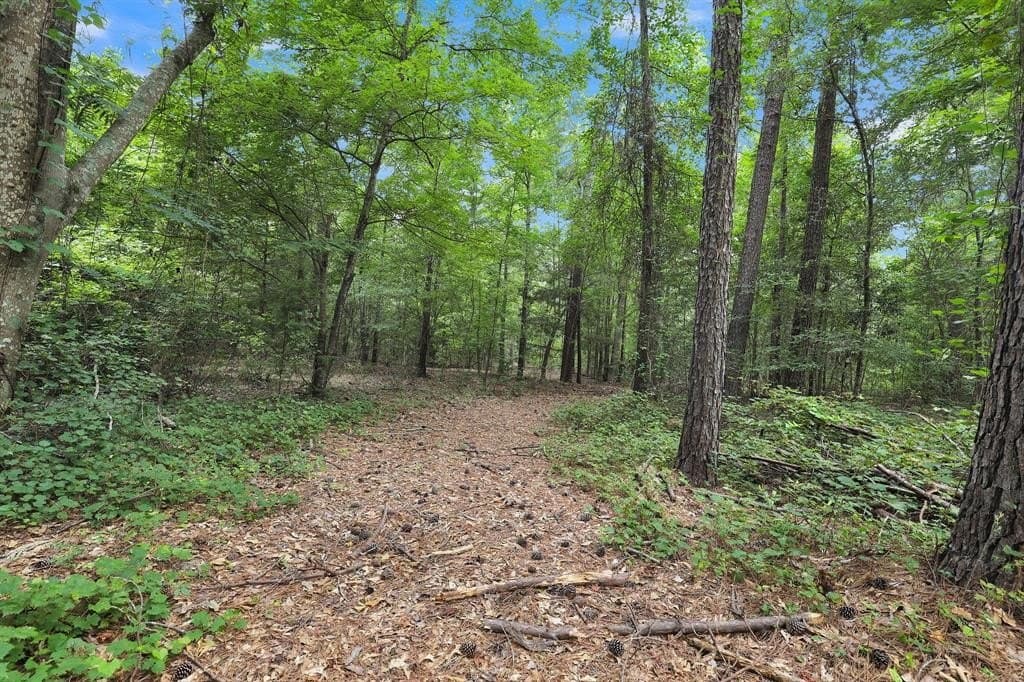 115.17 acres in Smith County - photo 16