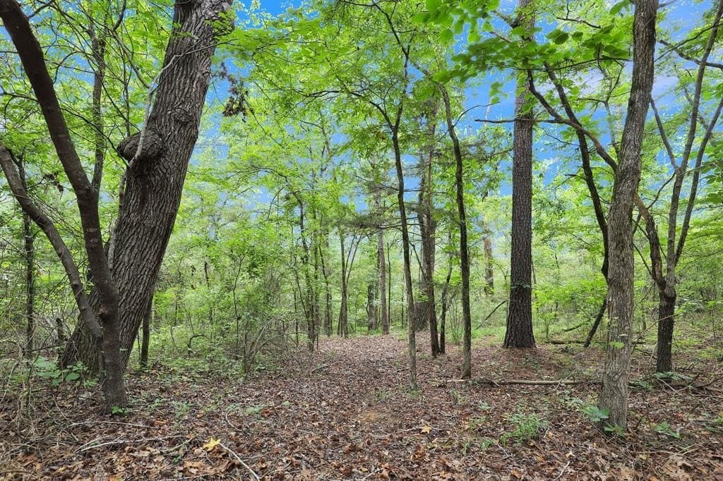 115.17 acres in Smith County - photo 19