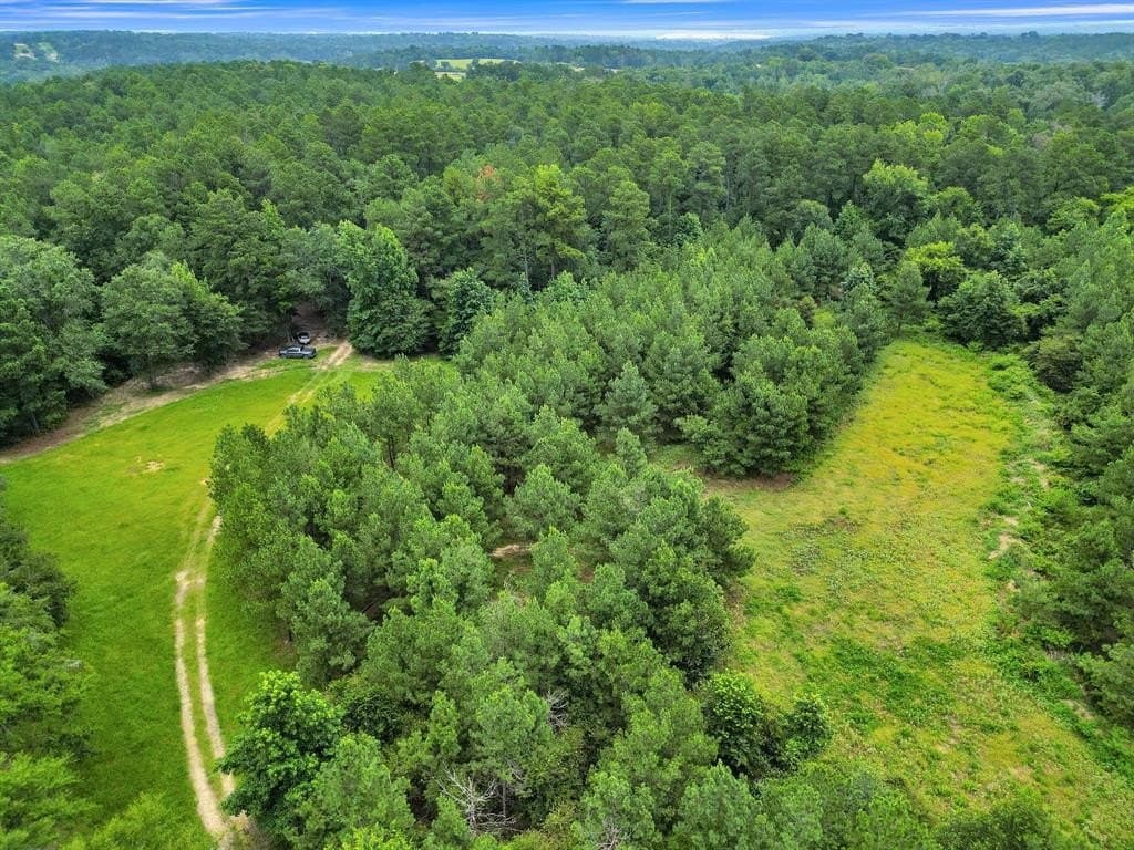 115.17 acres in Smith County - photo 31