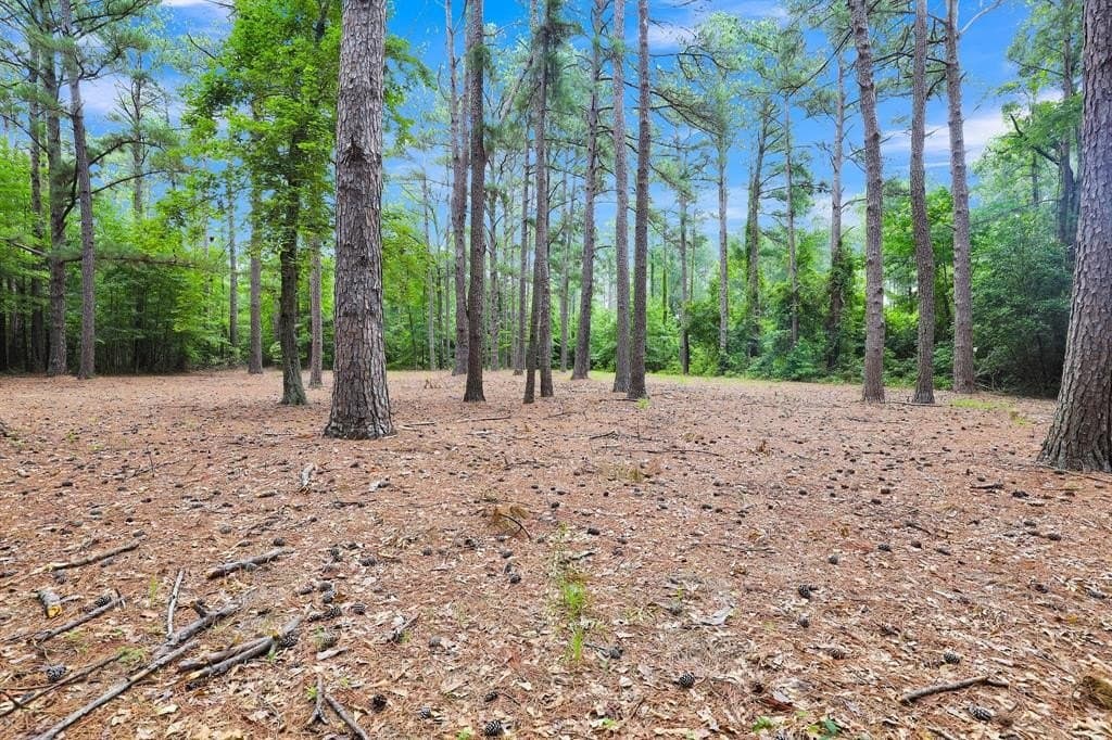115.17 acres in Smith County - photo 14