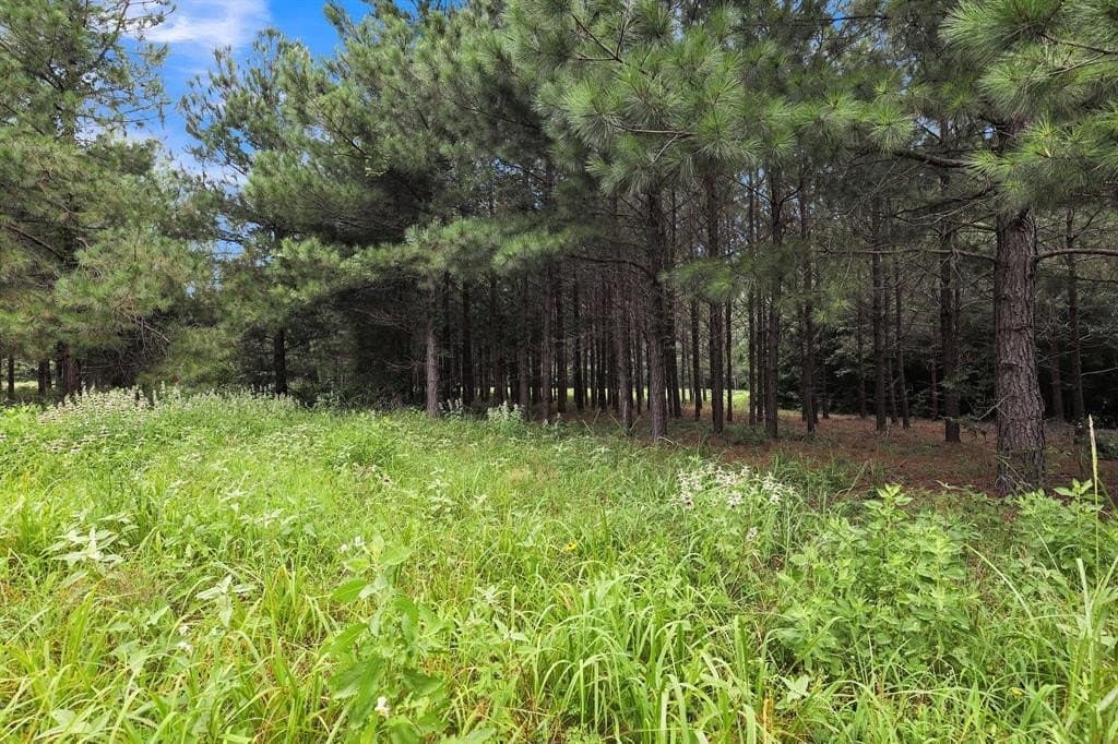 115.17 acres in Smith County - photo 26