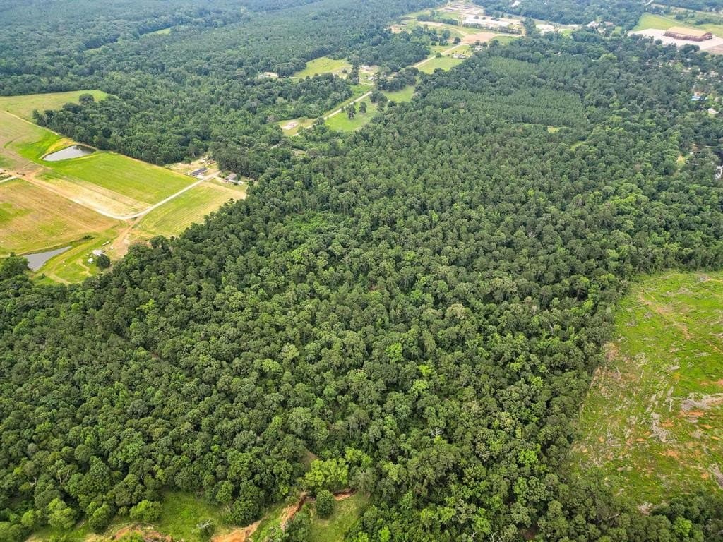 115.17 acres in Smith County - photo 36