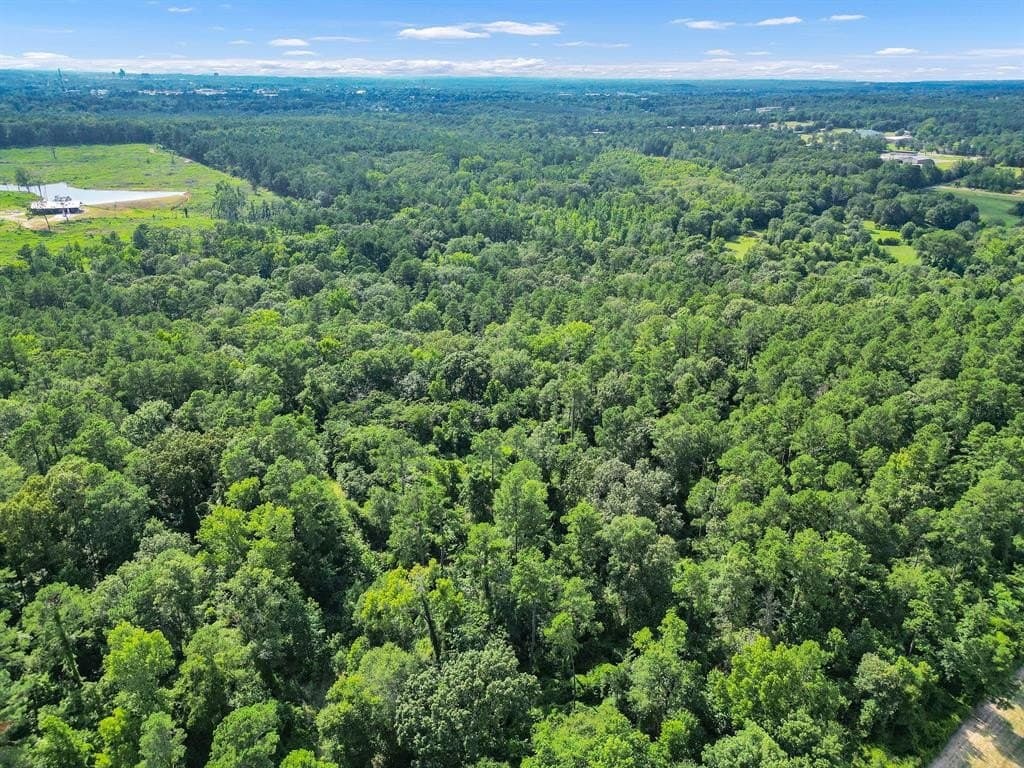 115.17 acres in Smith County - photo 9