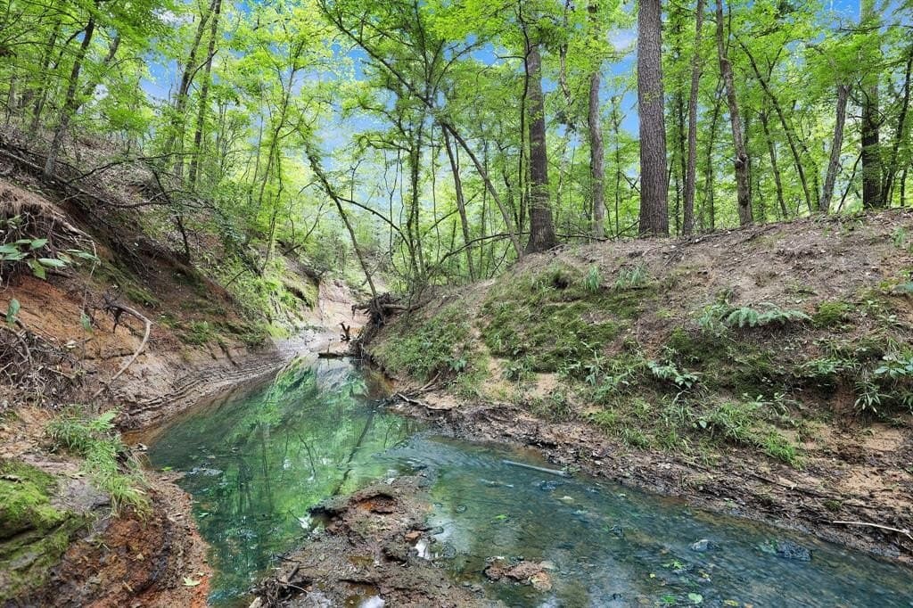 115.17 acres in Smith County - photo 21