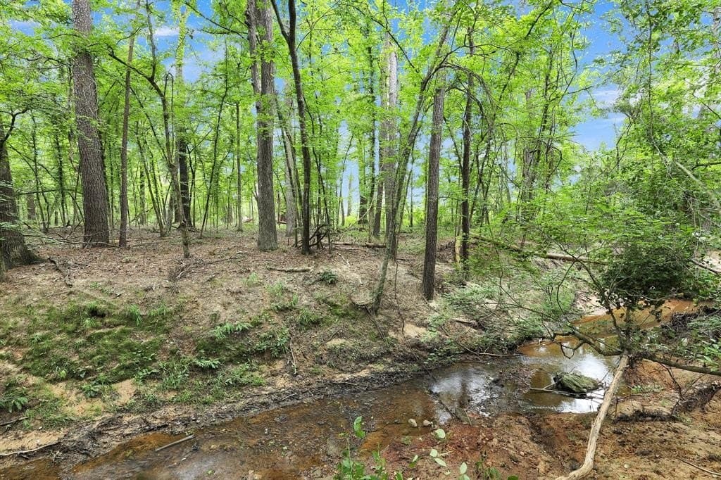 115.17 acres in Smith County - photo 23