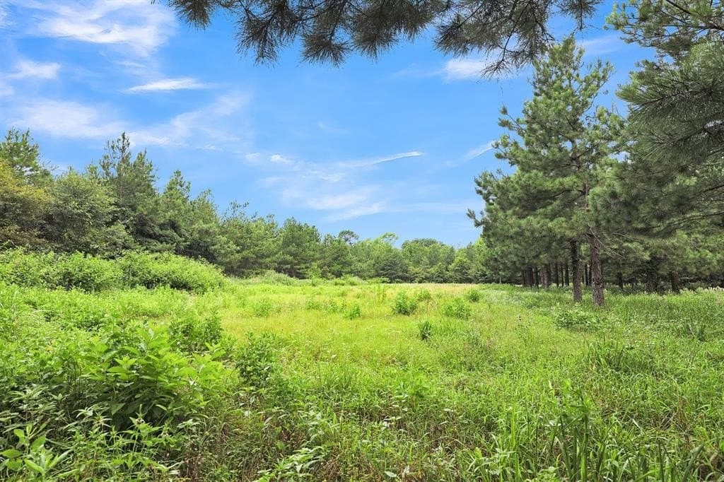 115.17 acres in Smith County - photo 15