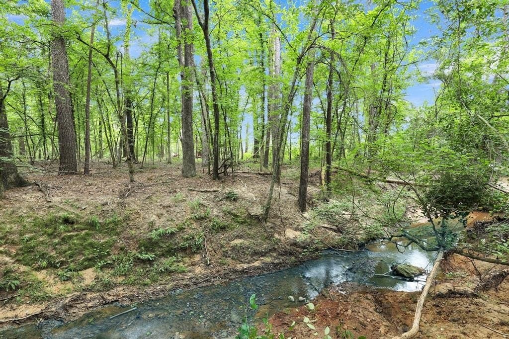 115.17 acres in Smith County - photo 20