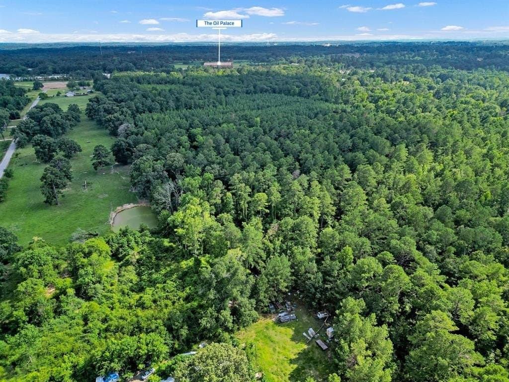 115.17 acres in Smith County - photo 38