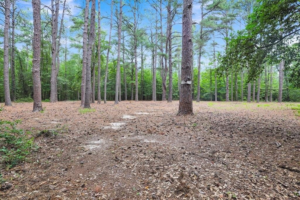 115.17 acres in Smith County - photo 17