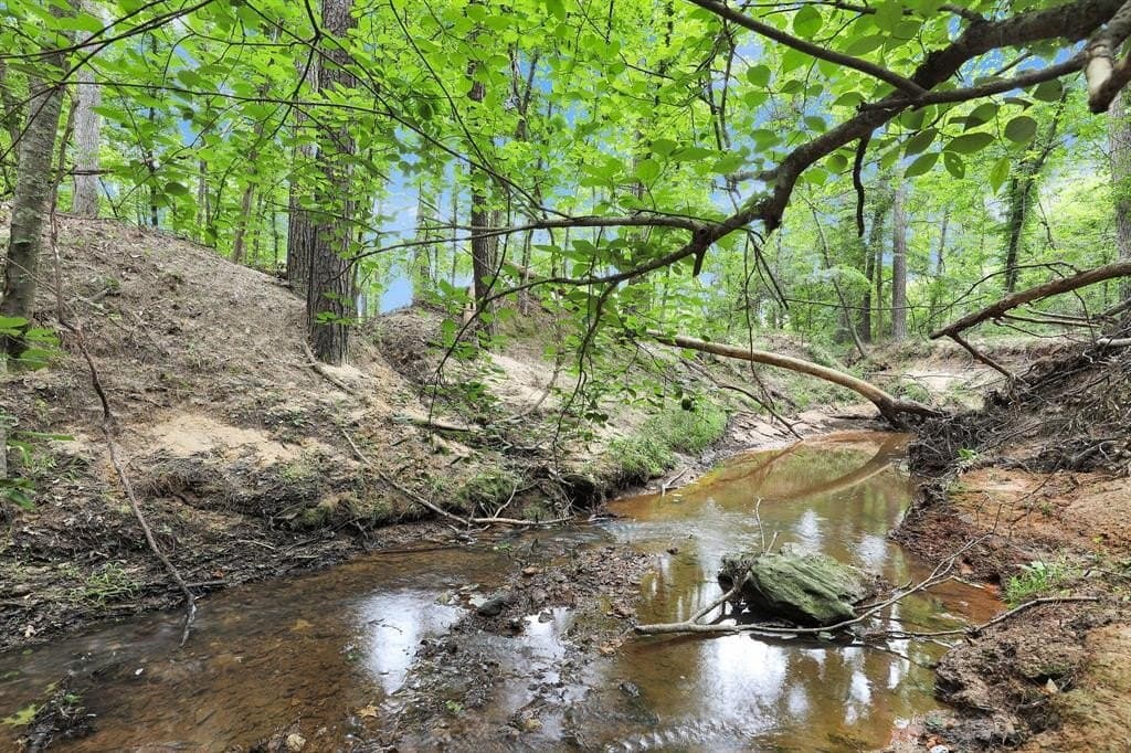 115.17 acres in Smith County - photo 25