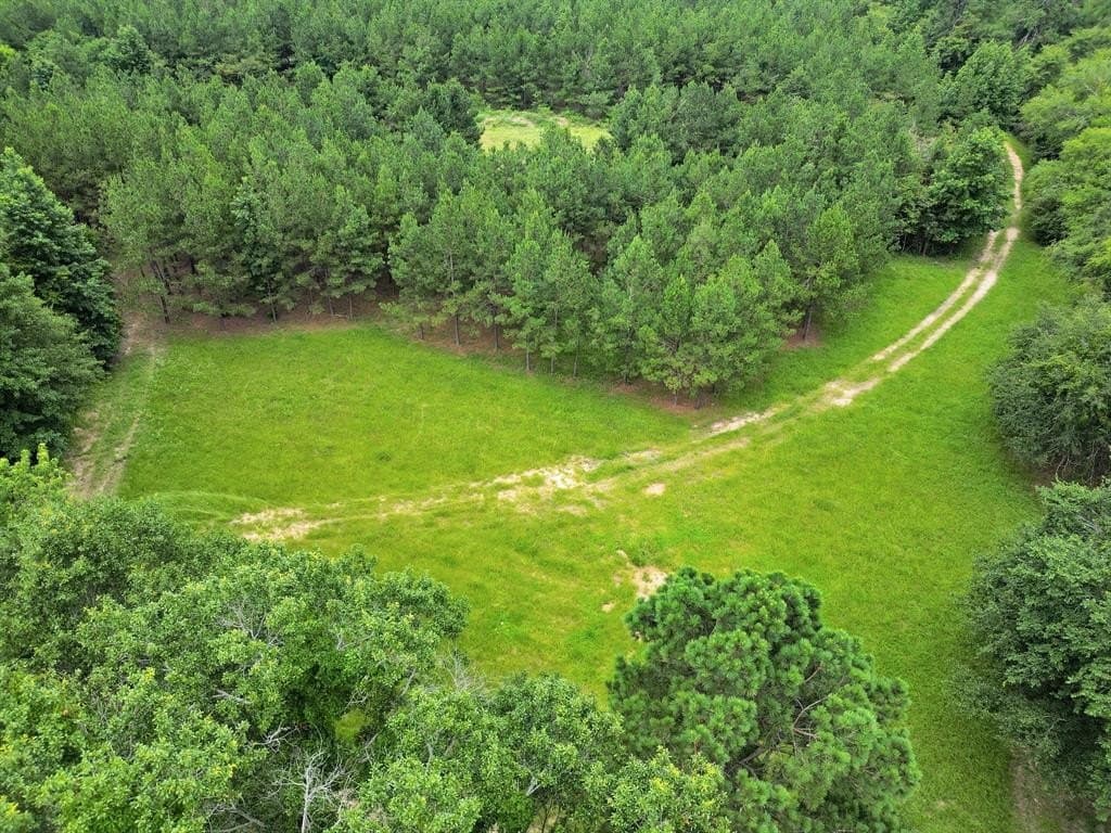 115.17 acres in Smith County - photo 29