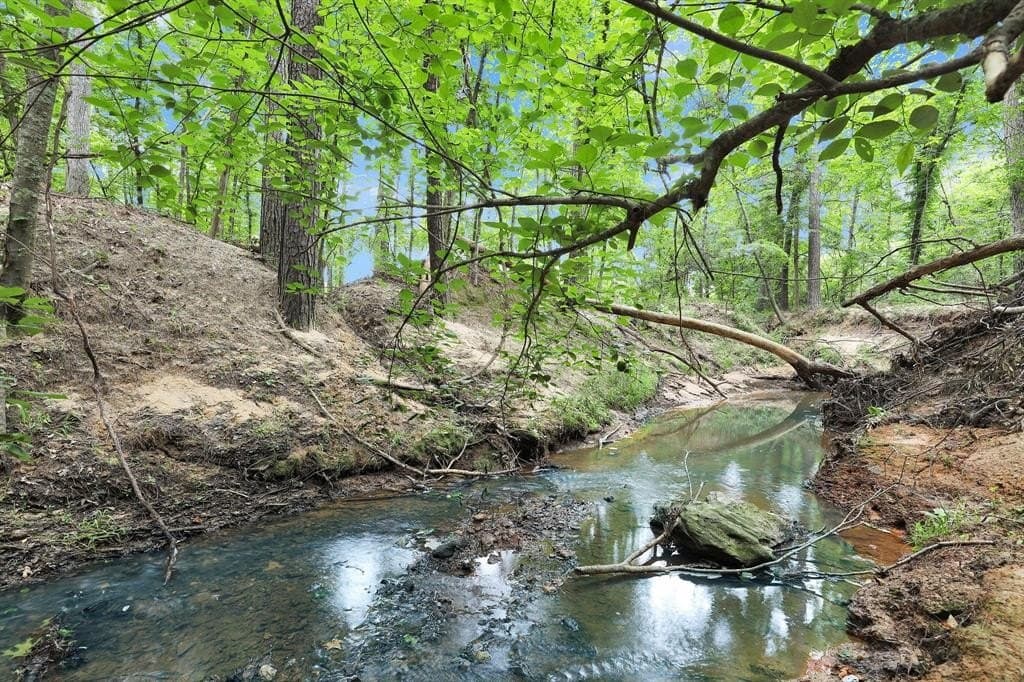 115.17 acres in Smith County - photo 22