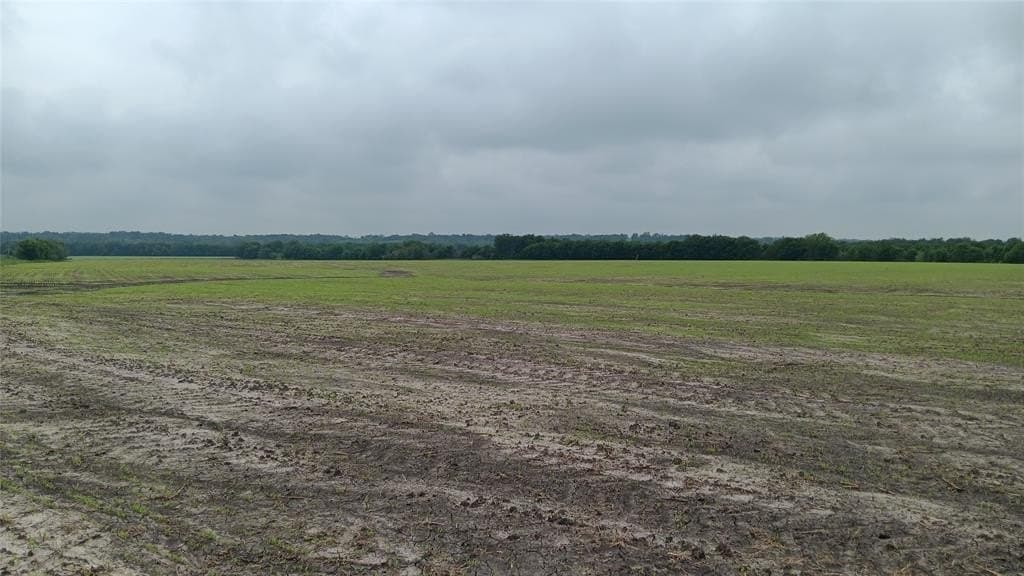 78.1 acres in Falls County - photo 10
