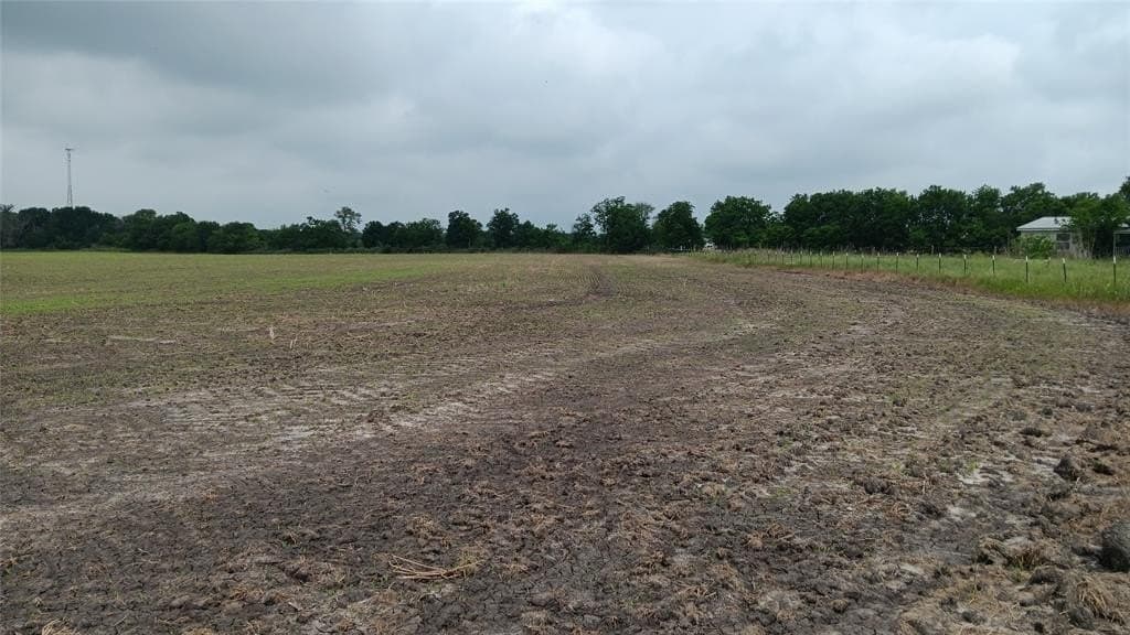 78.1 acres in Falls County - photo 11