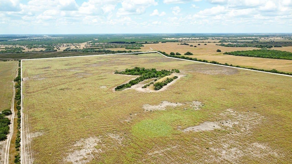363.91 acres in Live Oak County - photo 5