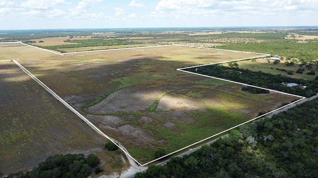 363.91 acres in Live Oak County - photo 3