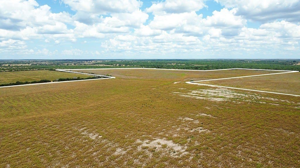 363.91 acres in Live Oak County - photo 2