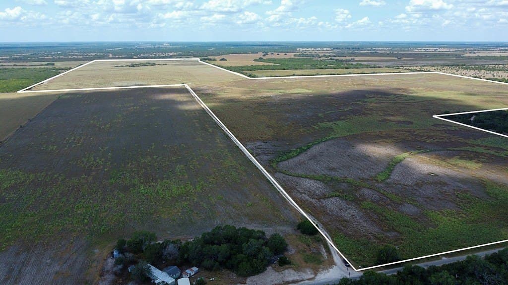 363.91 acres in Live Oak County - photo 4