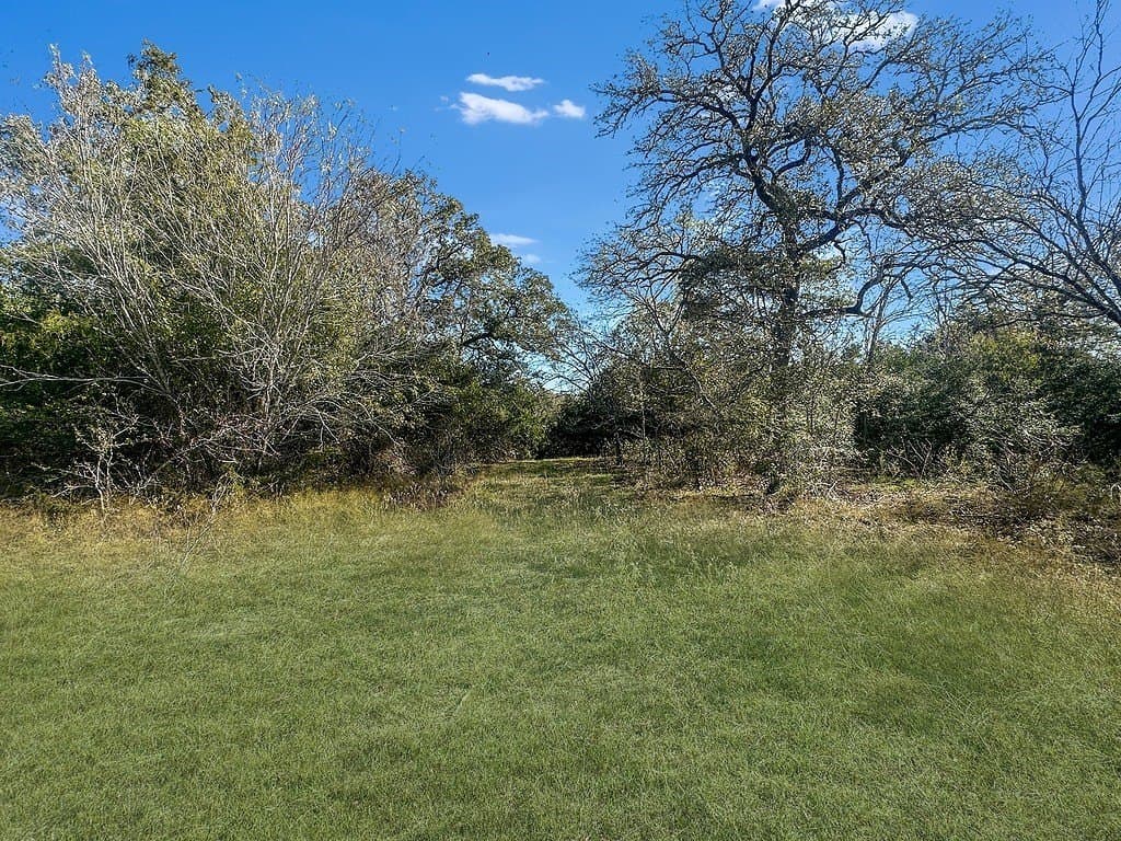 135.94 acres in Fayette County - photo 4
