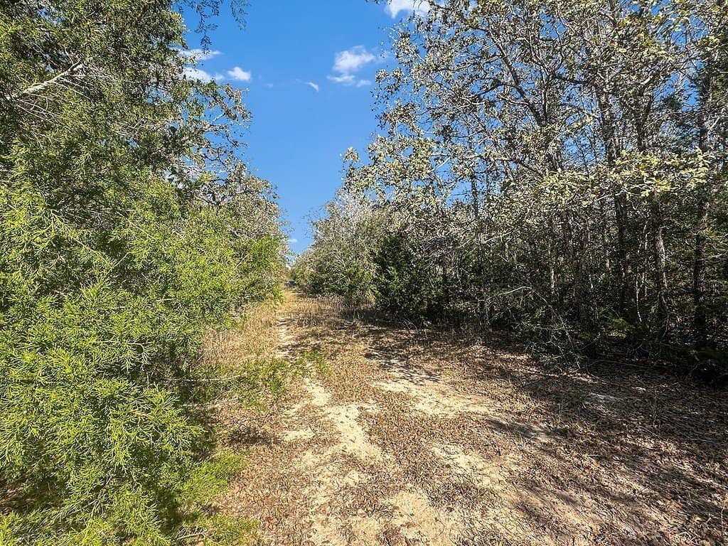 135.94 acres in Fayette County - photo 6
