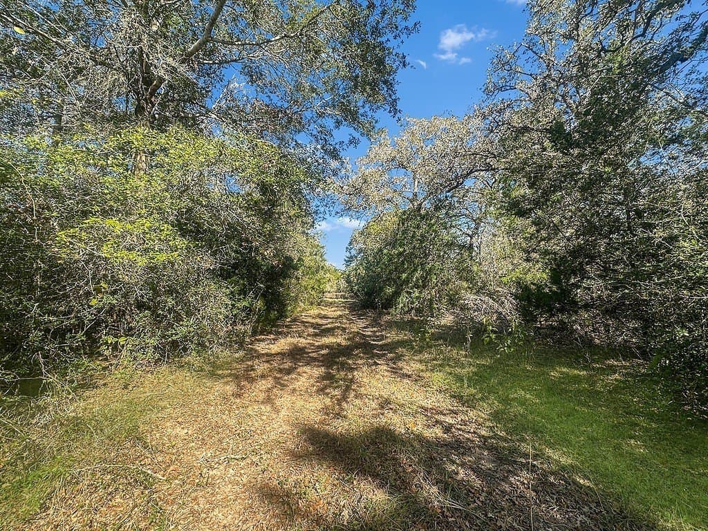 135.94 acres in Fayette County - photo 3