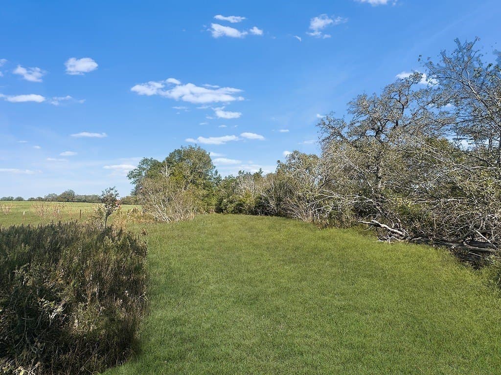 135.94 acres in Fayette County - photo 2
