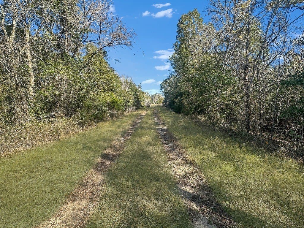 135.94 acres in Fayette County - photo 8