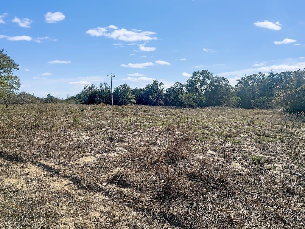 135.94 acres in Fayette County - photo 9