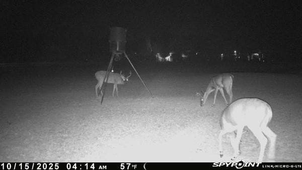 10 acres in Bowie County - photo 33