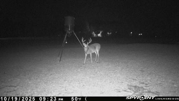 10 acres in Bowie County - photo 32
