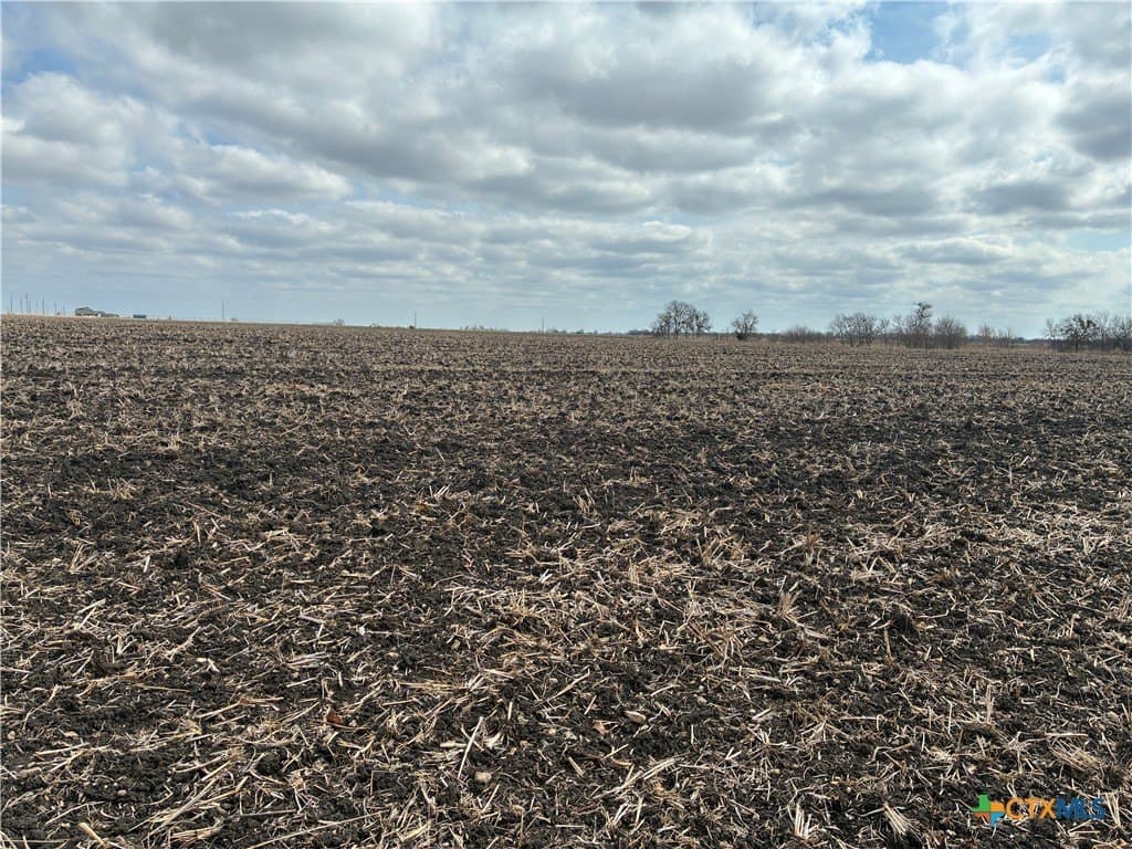 10.04 acres in Milam County - photo 7