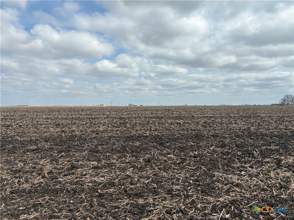 10.04 acres in Milam County - photo 4